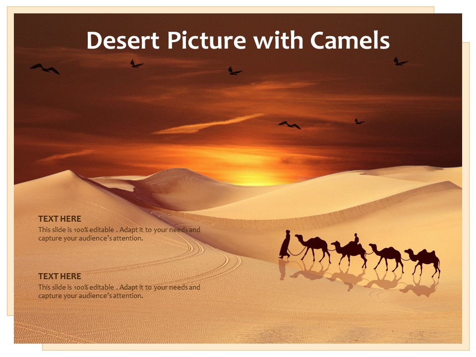 Desert Picture With Camels Ppt PowerPoint Presentation Layouts Gallery PDF
