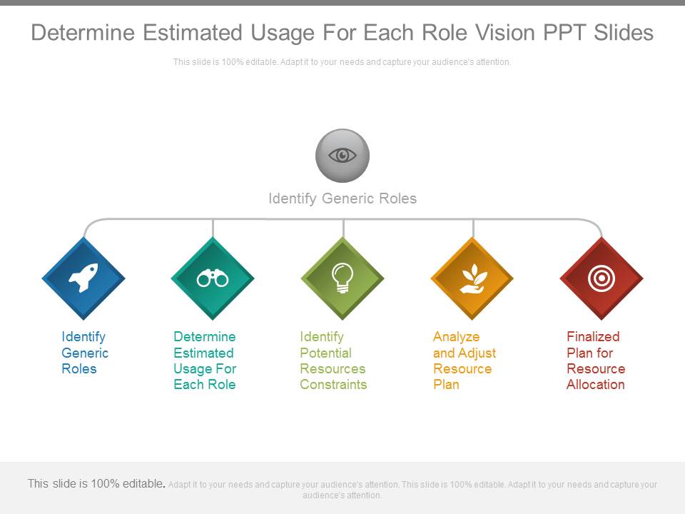 Determine Estimated Usage For Each Role Vision Ppt Slides