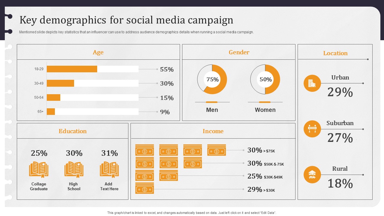 Developing Appealing Persona Key Demographics For Social Media Campaign Summary PDF
