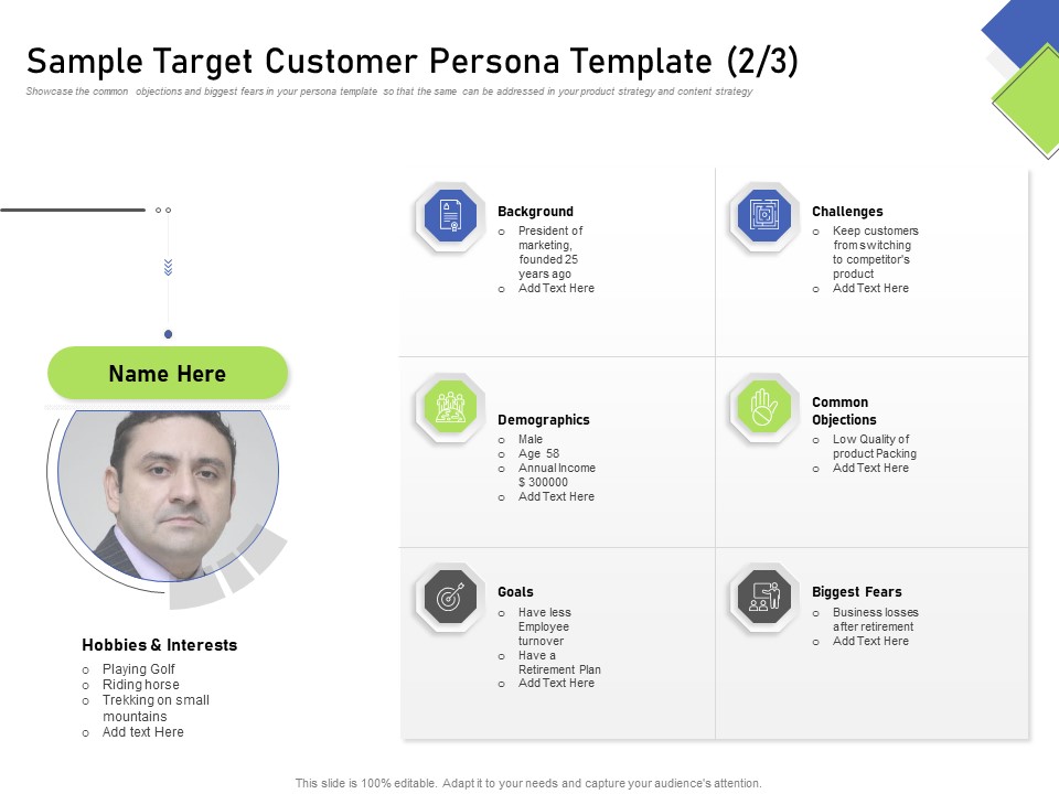 Developing Content Mapping Strategy Sample Target Customer Persona Template Demographics Ppt Gallery Outfit PDF