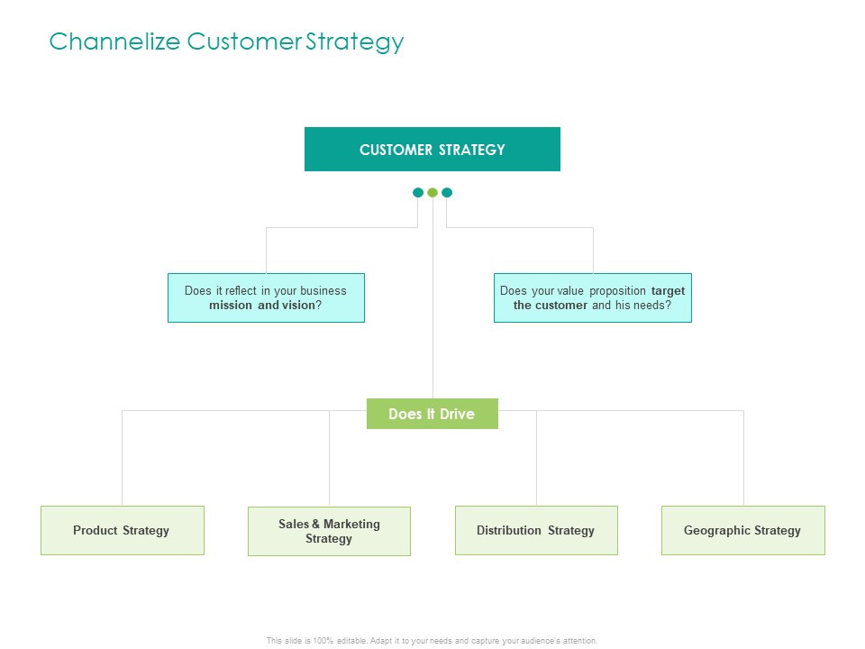Developing Customer Service Strategy Channelize Customer Strategy Ppt Outline Designs PDF