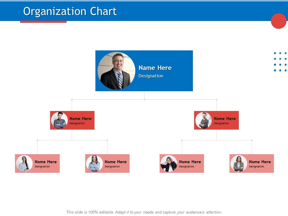 Developing Product Planning Strategies Organization Chart Ppt PowerPoint Presentation Portfolio Samples PDF