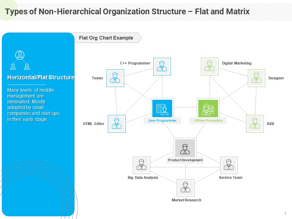 Developing Work Force Management Plan Model Types Of Non Hierarchical Organization Structure Flat Matrix Microsoft PDF