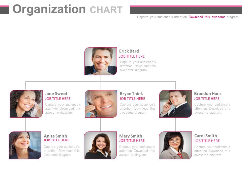 Diagram To Explain Human Hierarchies Powerpoint Slides