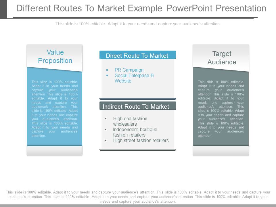 Different Routes To Market Example Powerpoint Presentation