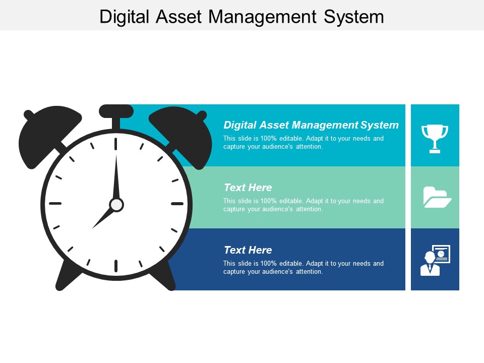 Digital Asset Management System Ppt PowerPoint Presentation Gallery Information Cpb