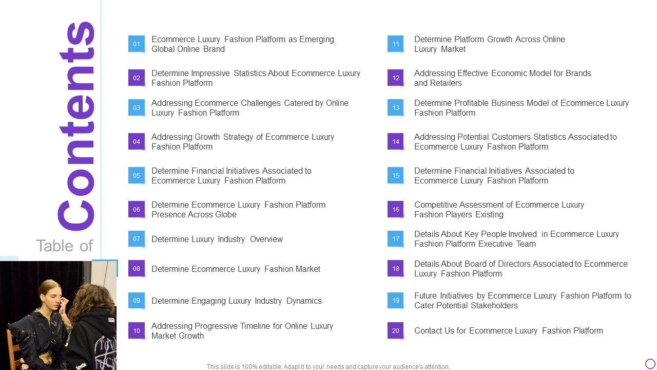 Digital Premium Fashion Platform Investor Financing Elevator Table Of Contents Guidelines PDF