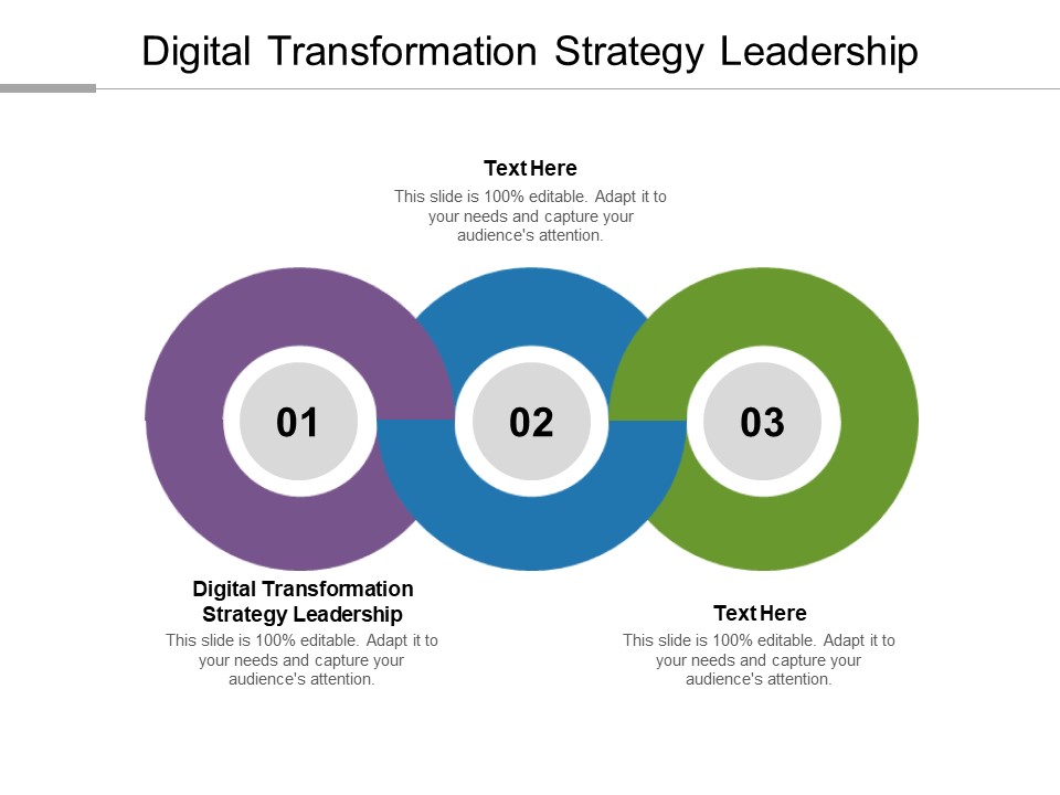 Digital Transformation Strategy Leadership Ppt PowerPoint Presentation Summary Background Designs Cpb