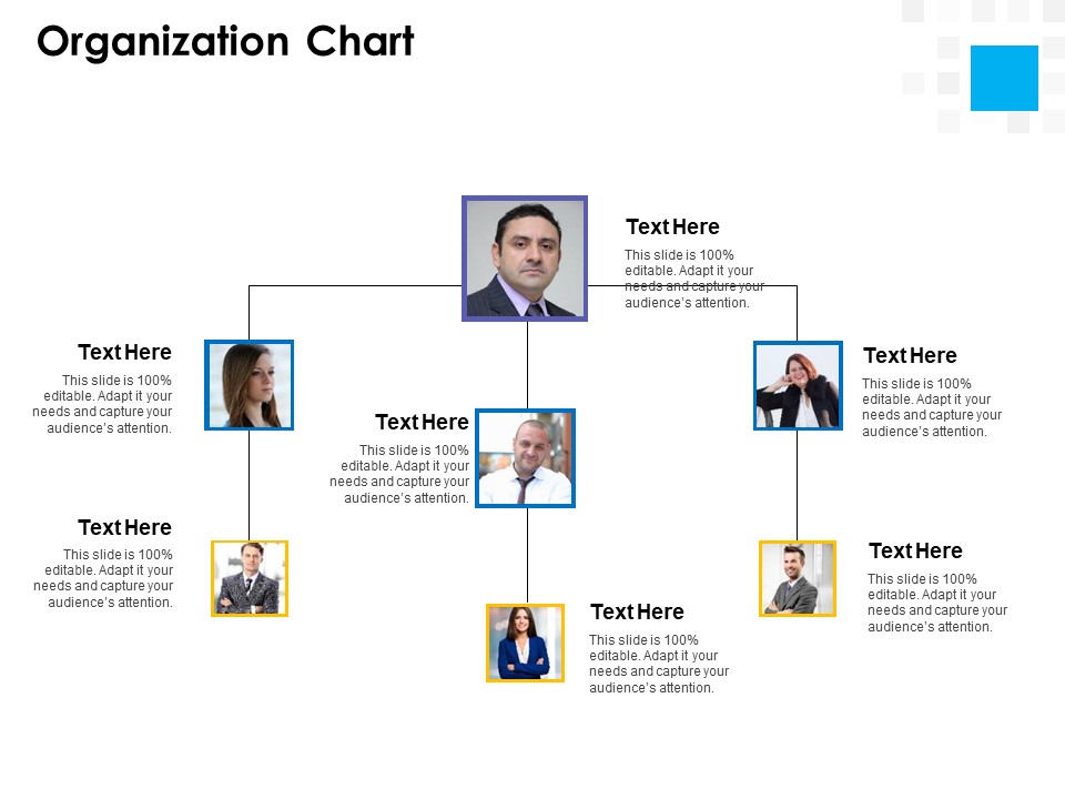 Digital Transformation Strategy Roadmap Organization Chart Ppt PowerPoint Presentation Model Icons PDF
