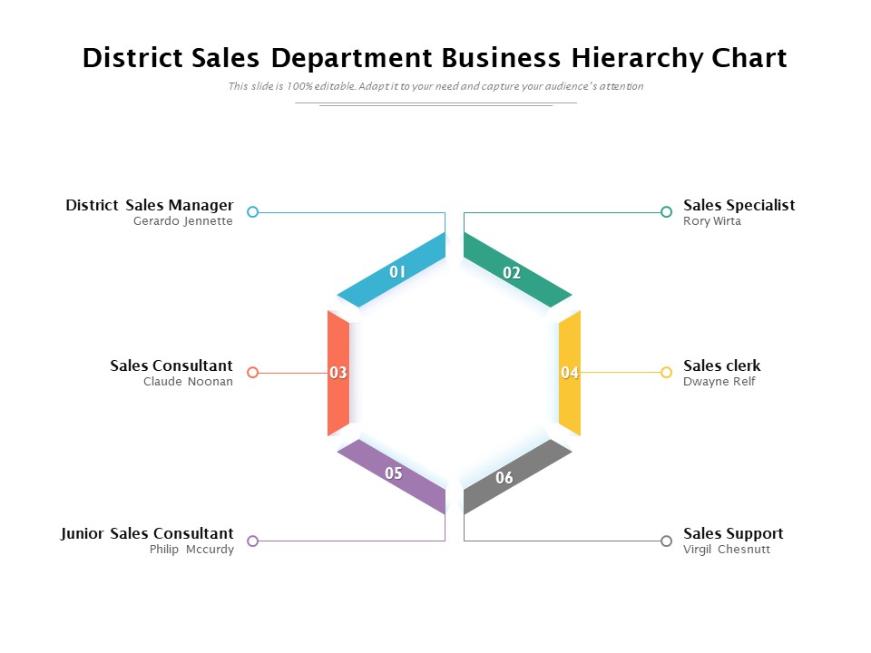 District Sales Department Business Hierarchy Chart Ppt PowerPoint Presentation File Images PDF