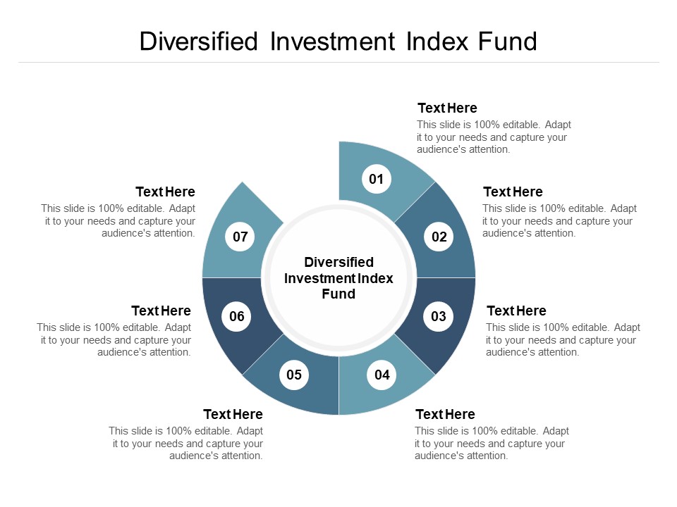 Diversified Investment Index Fund Ppt PowerPoint Presentation Infographic Template Portfolio