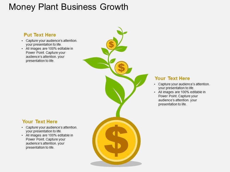 Dollar Growth Money Plant Powerpoint Template
