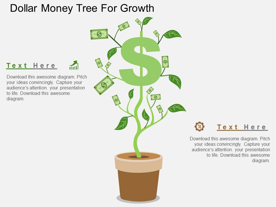 Dollar Money Tree For Growth Powerpoint Templates