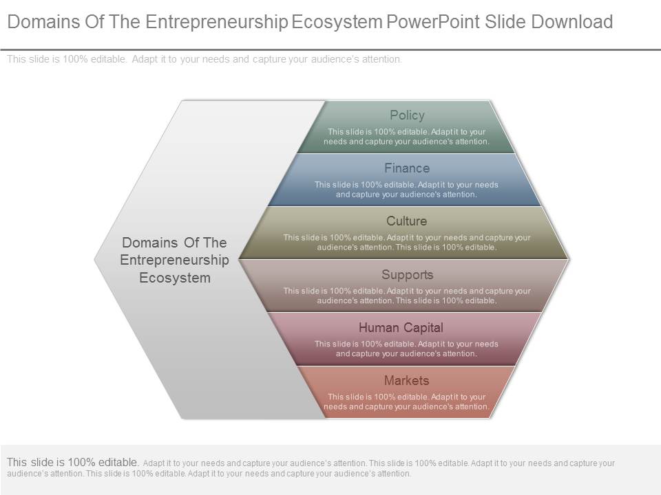 Domains Of The Entrepreneurship Ecosystem Powerpoint Slide Download
