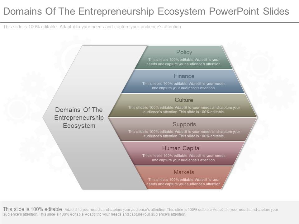 Domains Of The Entrepreneurship Ecosystem Powerpoint Slides