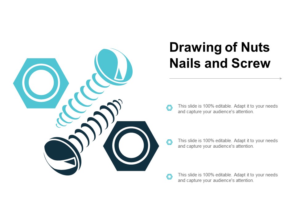 Drawing Of Nuts Nails And Screw Ppt PowerPoint Presentation Portfolio Files