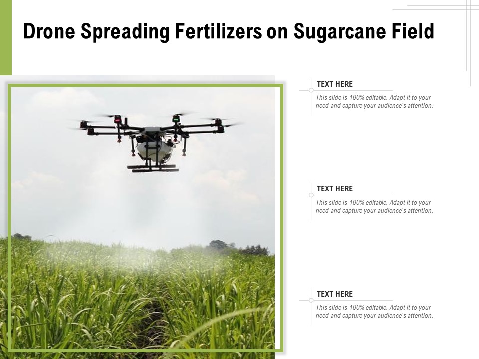Drone Spreading Fertilizers On Sugarcane Field Ppt PowerPoint Presentation Gallery Show PDF