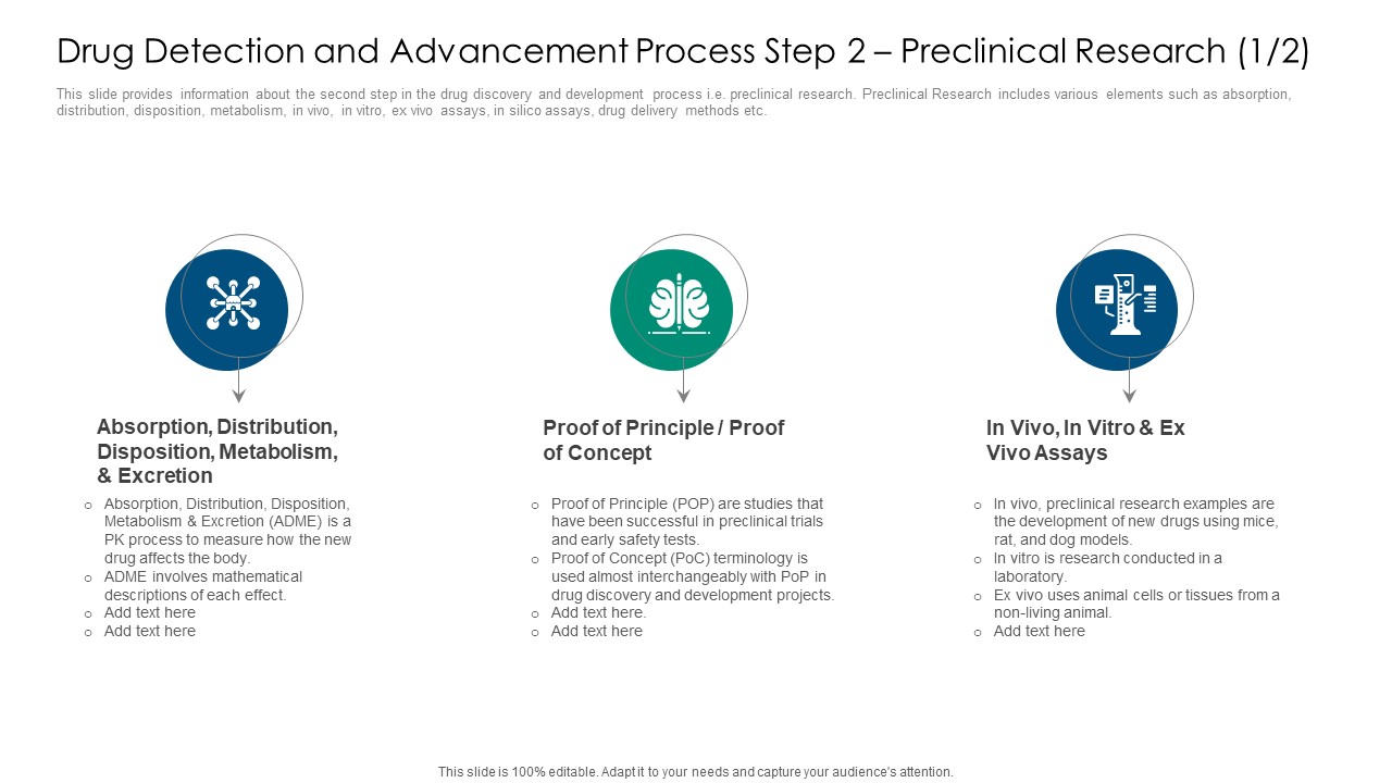 Drug Detection And Advancement Process Step 2 Preclinical Research Projects Inspiration PDF