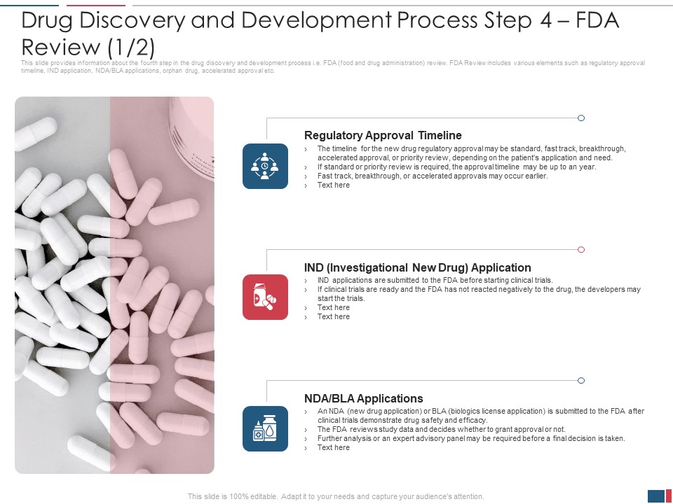 Drug Discovery And Development Process Step 4 Fda Review Timeline Formats PDF