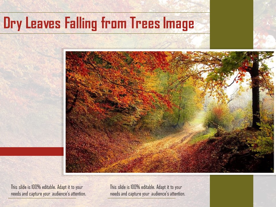 Dry Leaves Falling From Trees Image Ppt PowerPoint Presentation Show Images PDF