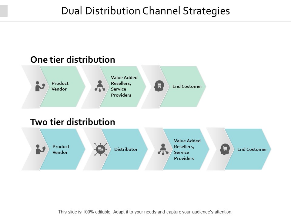 Dual Distribution Channel Strategies Ppt PowerPoint Presentation Portfolio Infographic Template