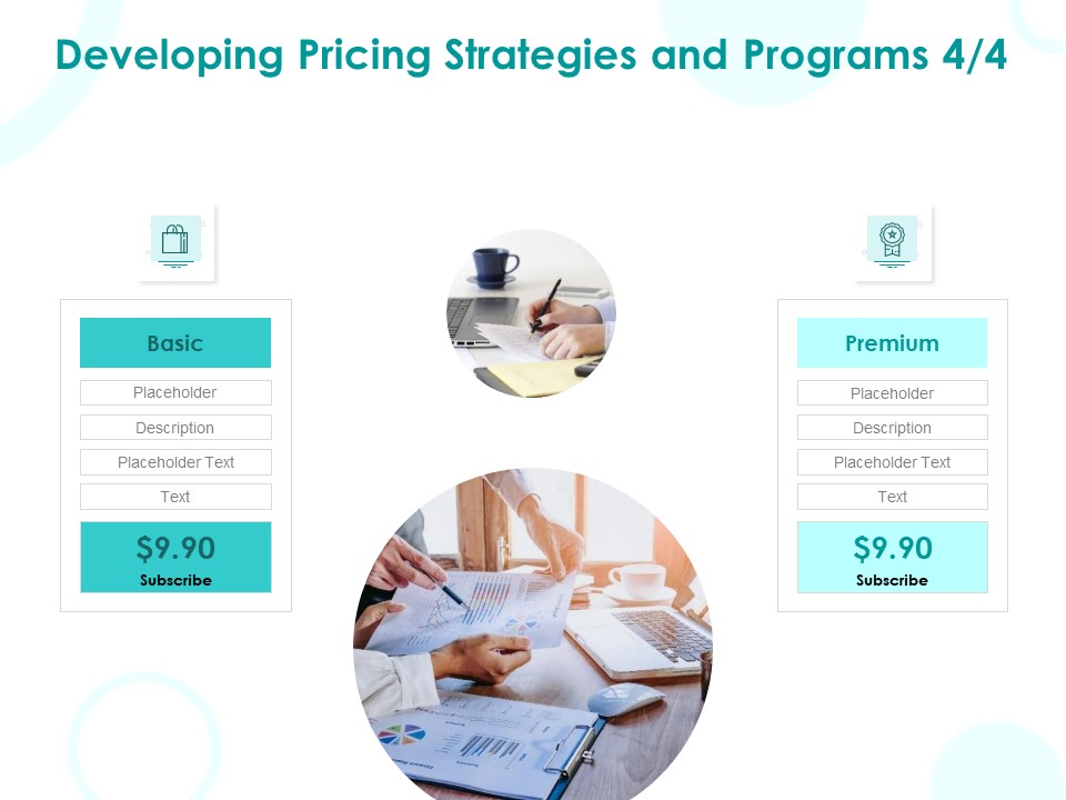 EMM Solution Developing Pricing Strategies And Programs Premium Ppt Styles Layouts PDF