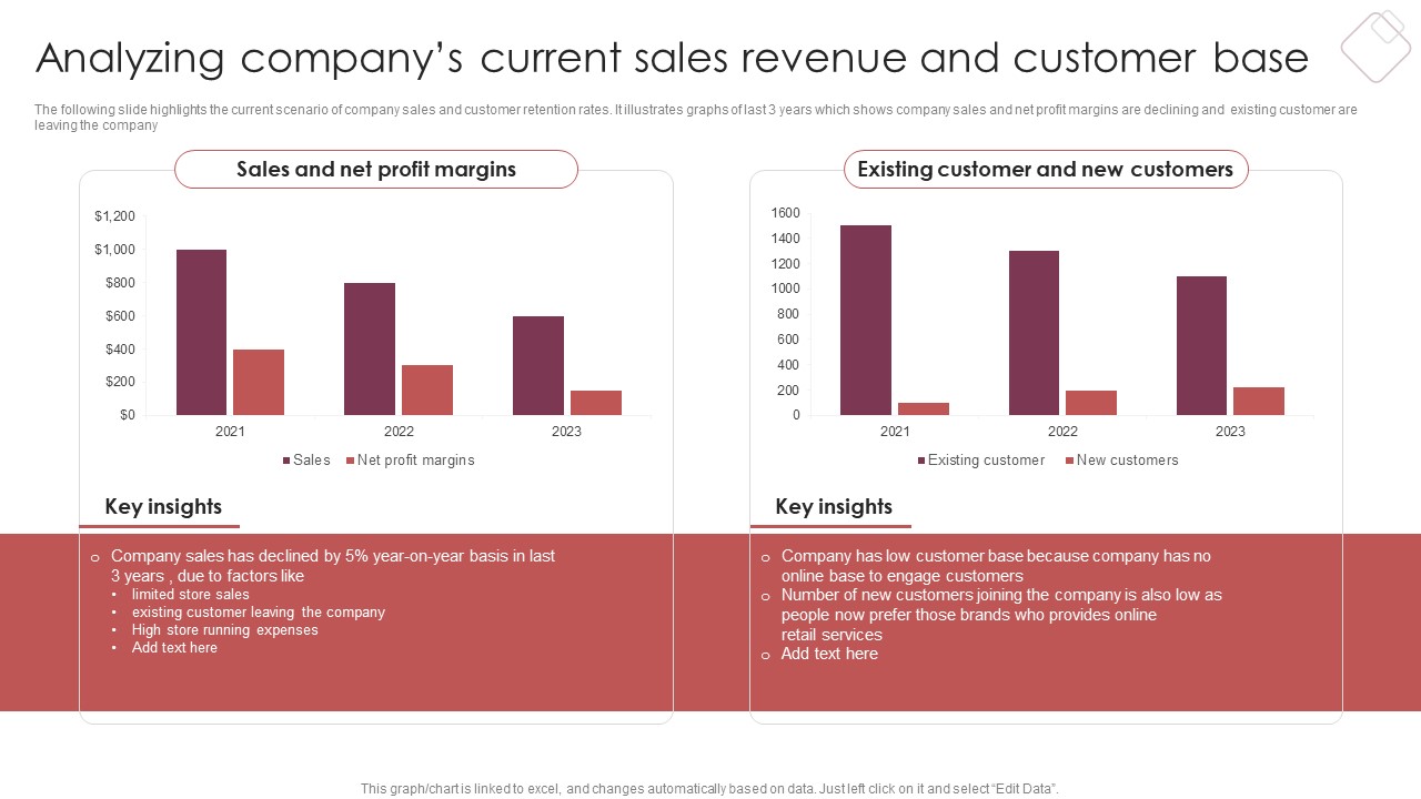 E Commerce Marketing Techniques To Boost Sales Analyzing Companys Current Sales Revenue And Customer Base Formats PDF