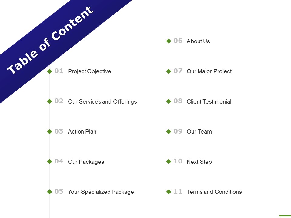 E Marketing Table Of Content Action Plan Ppt Professional Information PDF