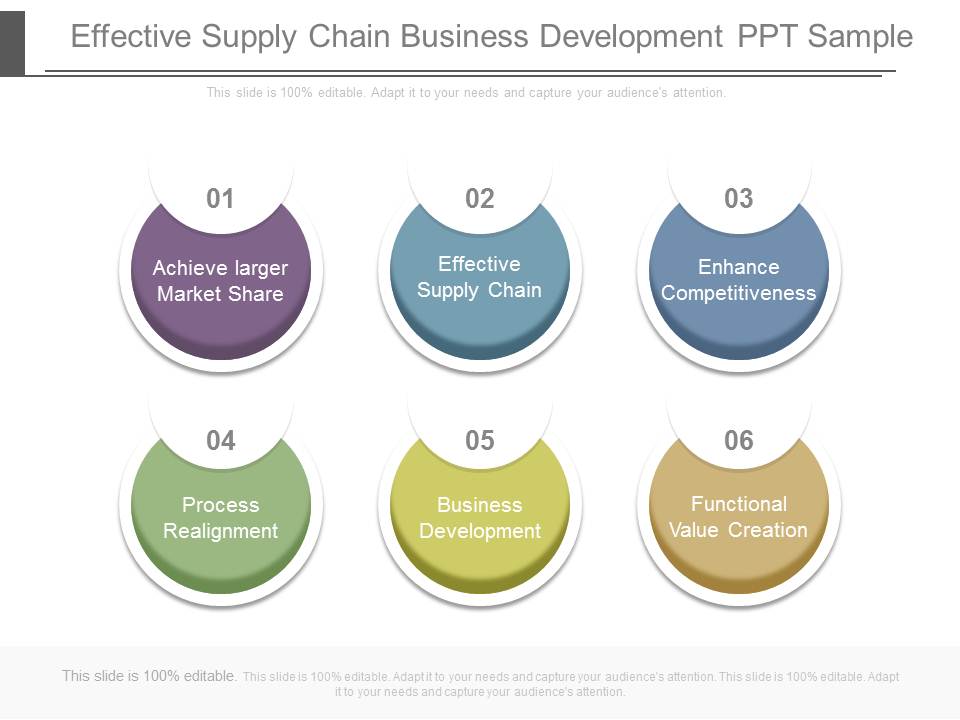 Effective Supply Chain Business Development Ppt Sample