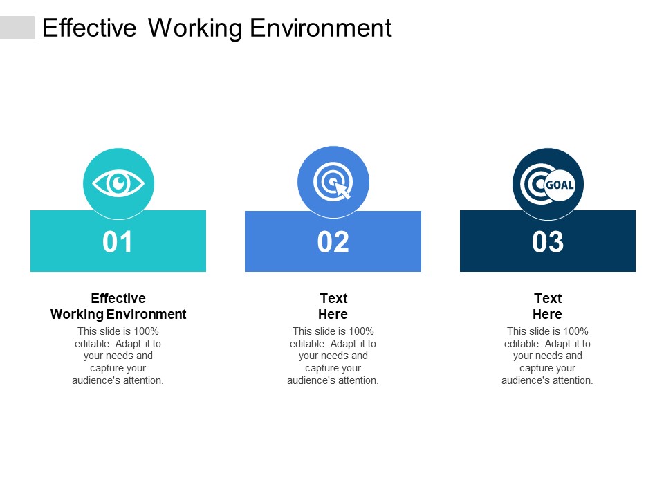 Effective Working Environment Ppt PowerPoint Presentation Portfolio Example Introduction Cpb