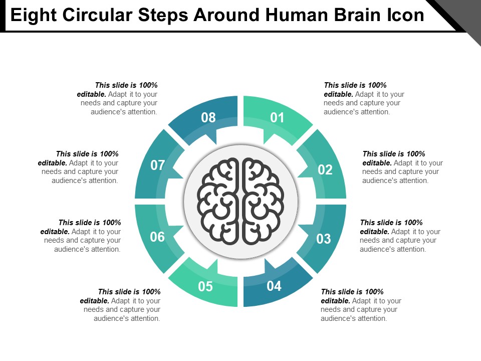 Eight Circular Steps Around Human Brain Icon Ppt PowerPoint Presentation Show Slides PDF