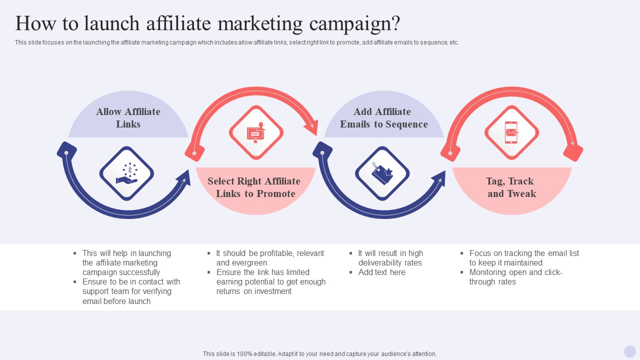 Electronic Commerce Systems How To Launch Affiliate Marketing Campaign Introduction PDF