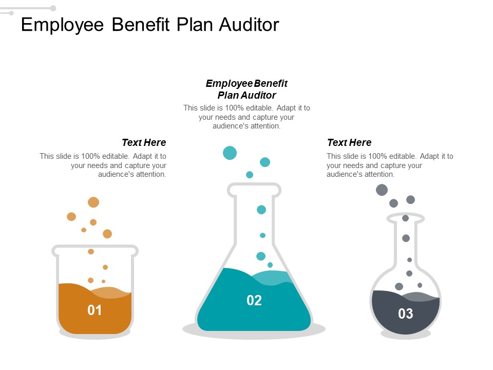 Employee Benefit Plan Auditor Ppt PowerPoint Presentation Inspiration Slides Cpb