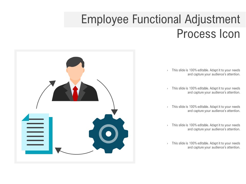 Employee Functional Adjustment Process Icon Ppt PowerPoint Presentation Pictures Brochure PDF