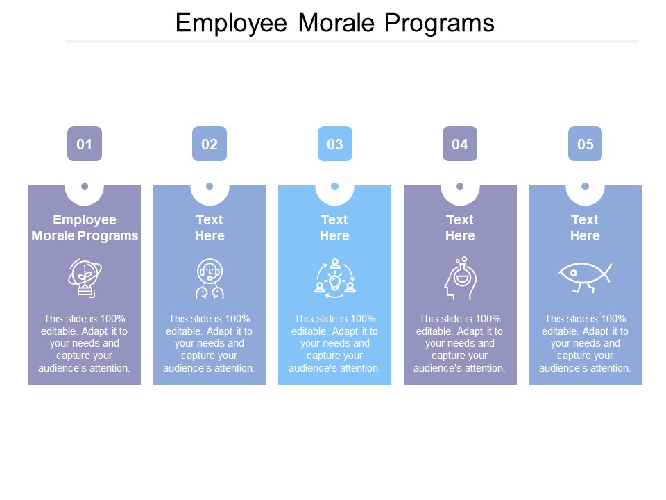 Employee Morale Programs Ppt Powerpoint Presentation Ideas Layouts Cpb