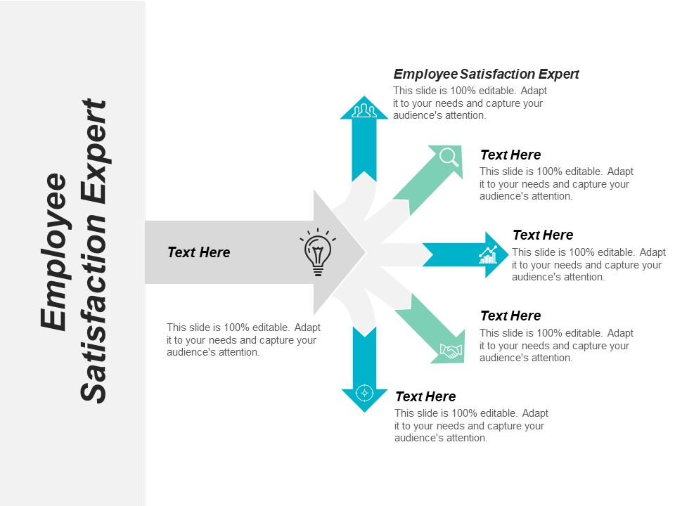 Employee Satisfaction Expert Ppt PowerPoint Presentation Pictures Information Cpb