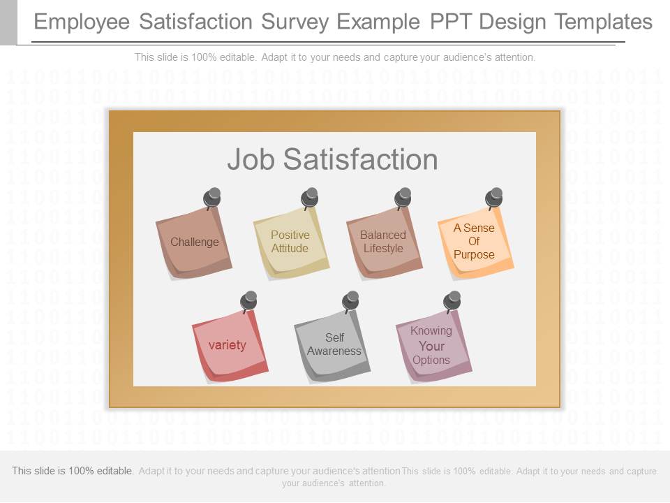Employee Satisfaction Survey Example Ppt Design Templates