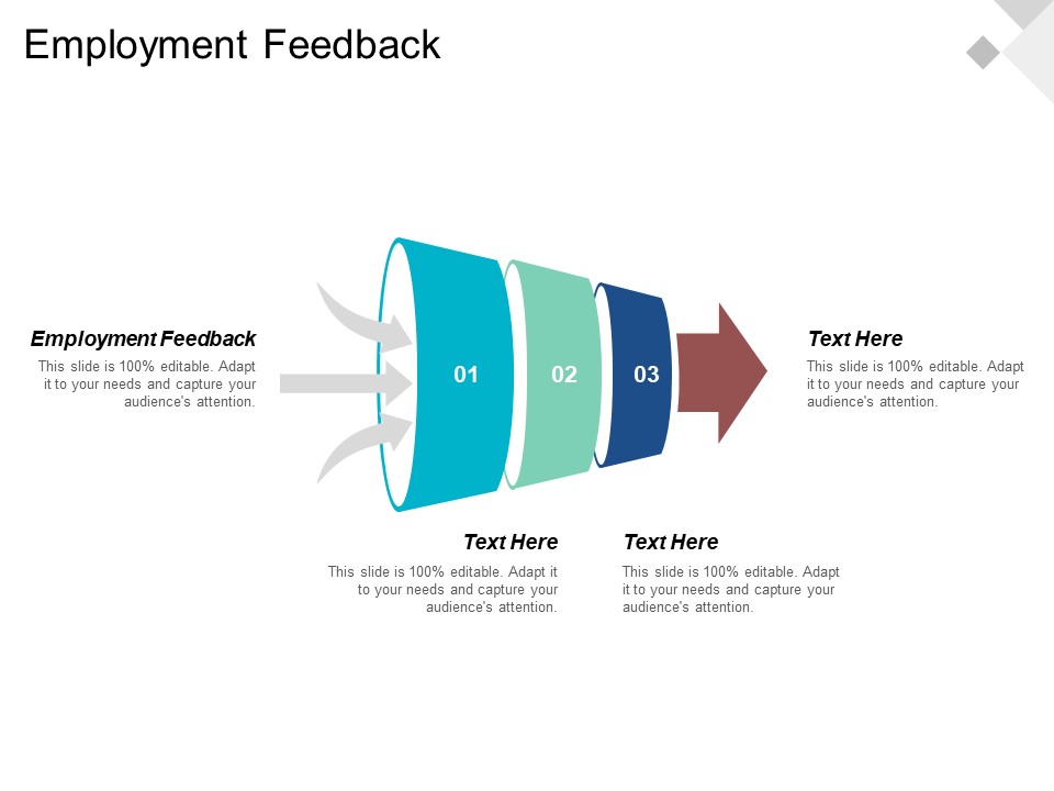 Employment Feedback Ppt PowerPoint Presentation Professional Portfolio