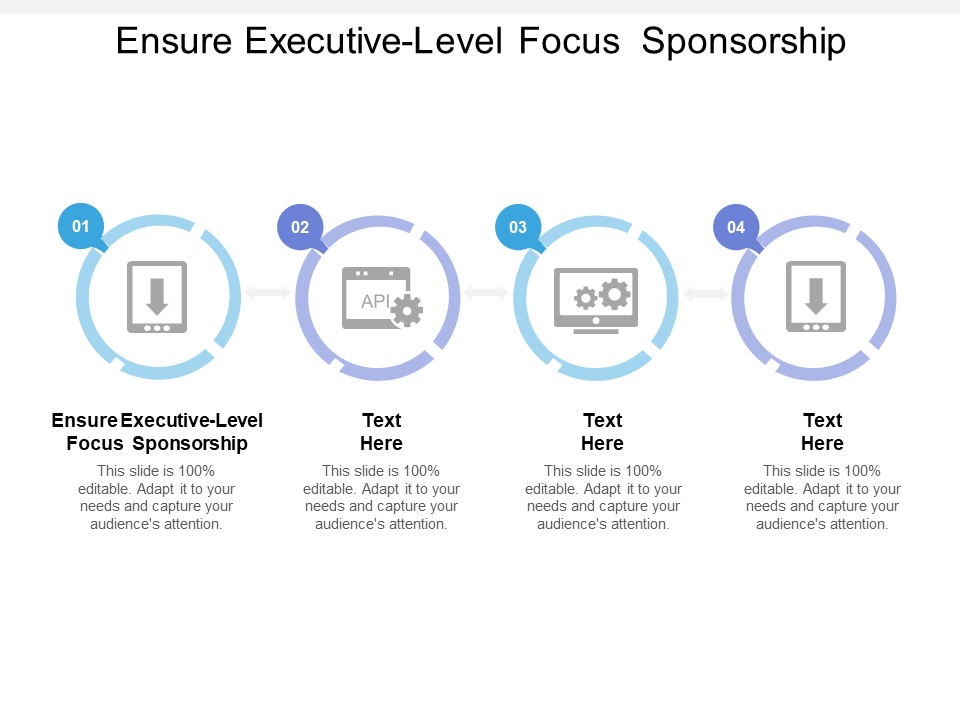 Ensure Executive Level Focus Sponsorship Ppt PowerPoint Presentation Pictures Vector Cpb