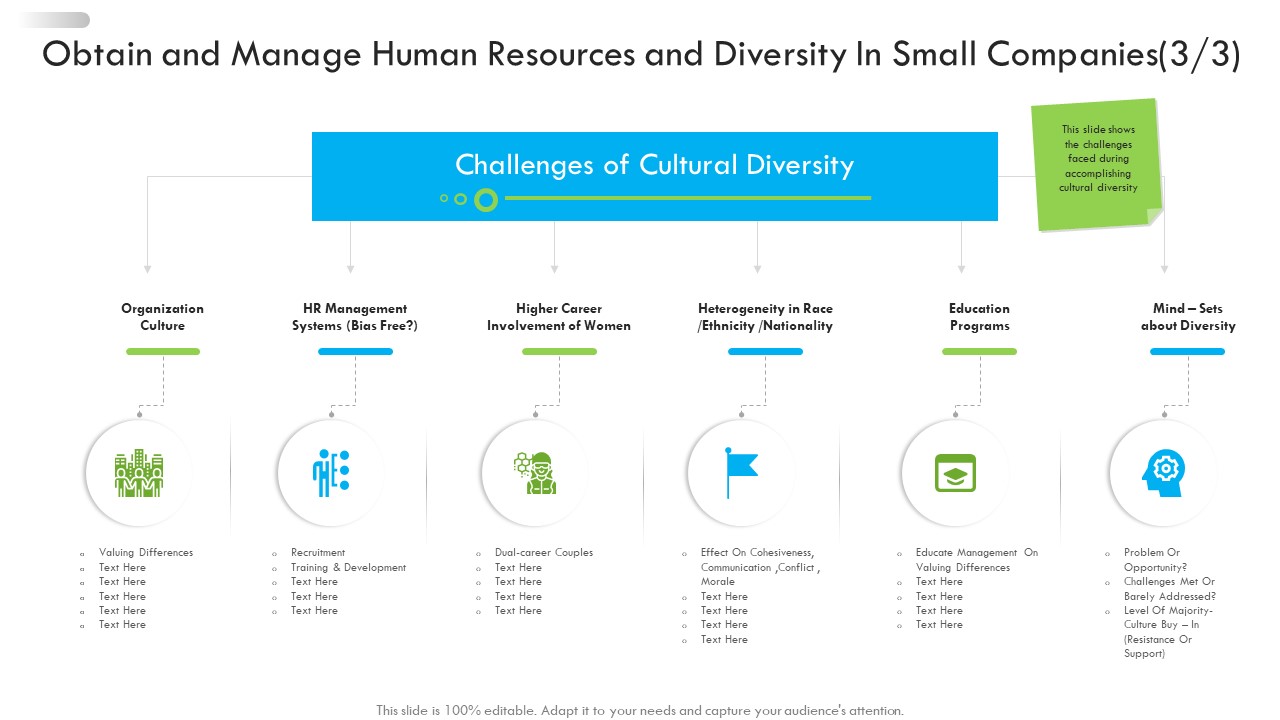 Enterprise Tactical Planning Obtain And Manage Human Resources And Diversity In Small Companies Culture Infographics PDF