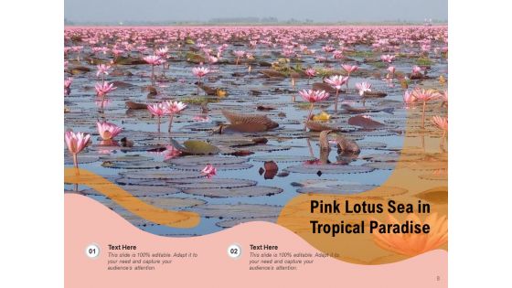Equatorial Tropical Location Tropical Beach Ppt PowerPoint Presentation Complete Deck