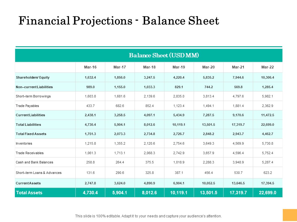 Equity Capital Funding Financial Projections Balance Sheet Ppt Show Graphics Design PDF