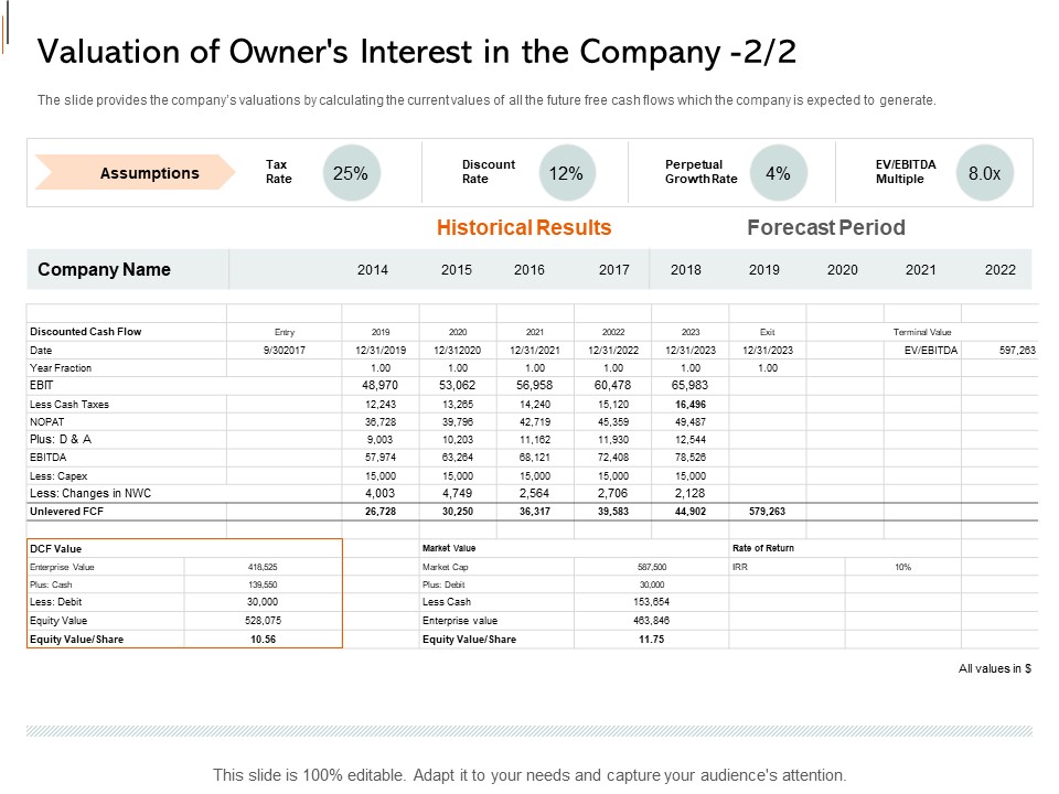 Equity Crowd Investing Valuation Of Owners Interest In The Company Assumptions Demonstration PDF