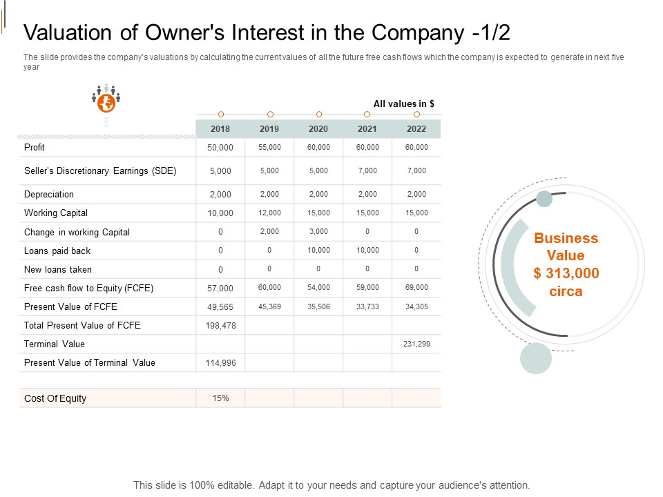 Equity Crowd Investing Valuation Of Owners Interest In The Company Earnings Structure PDF