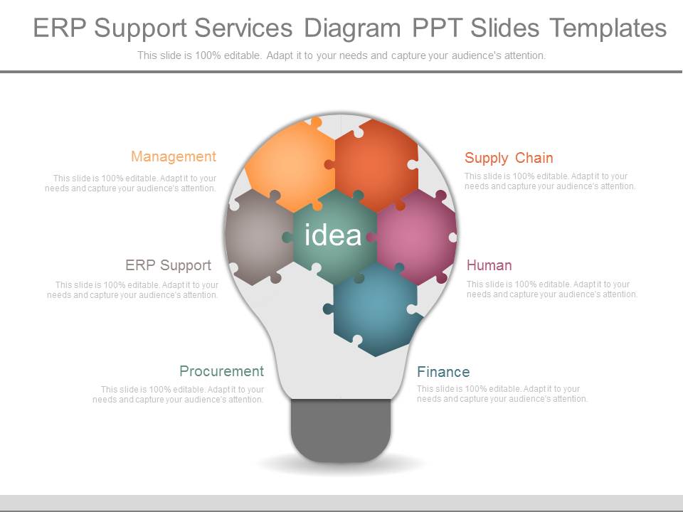 Erp Support Services Diagram Ppt Slides Templates
