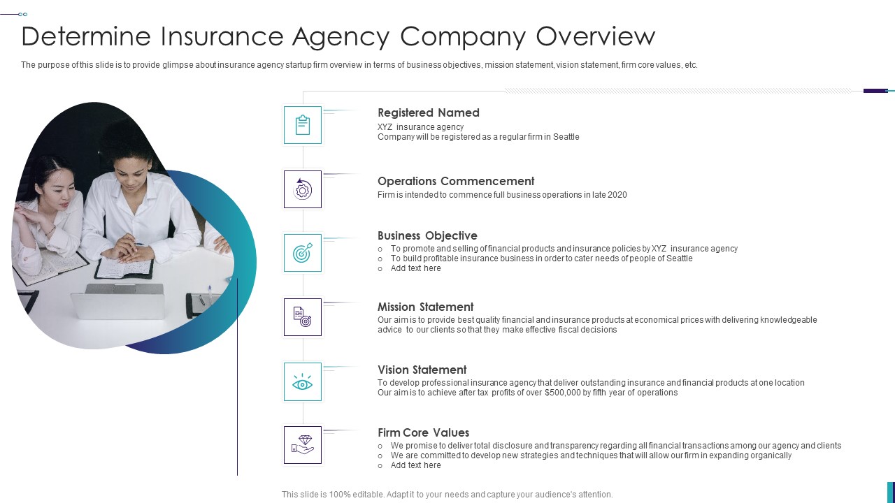 Establishing Insurance Company Determine Insurance Agency Company Overview Sample PDF