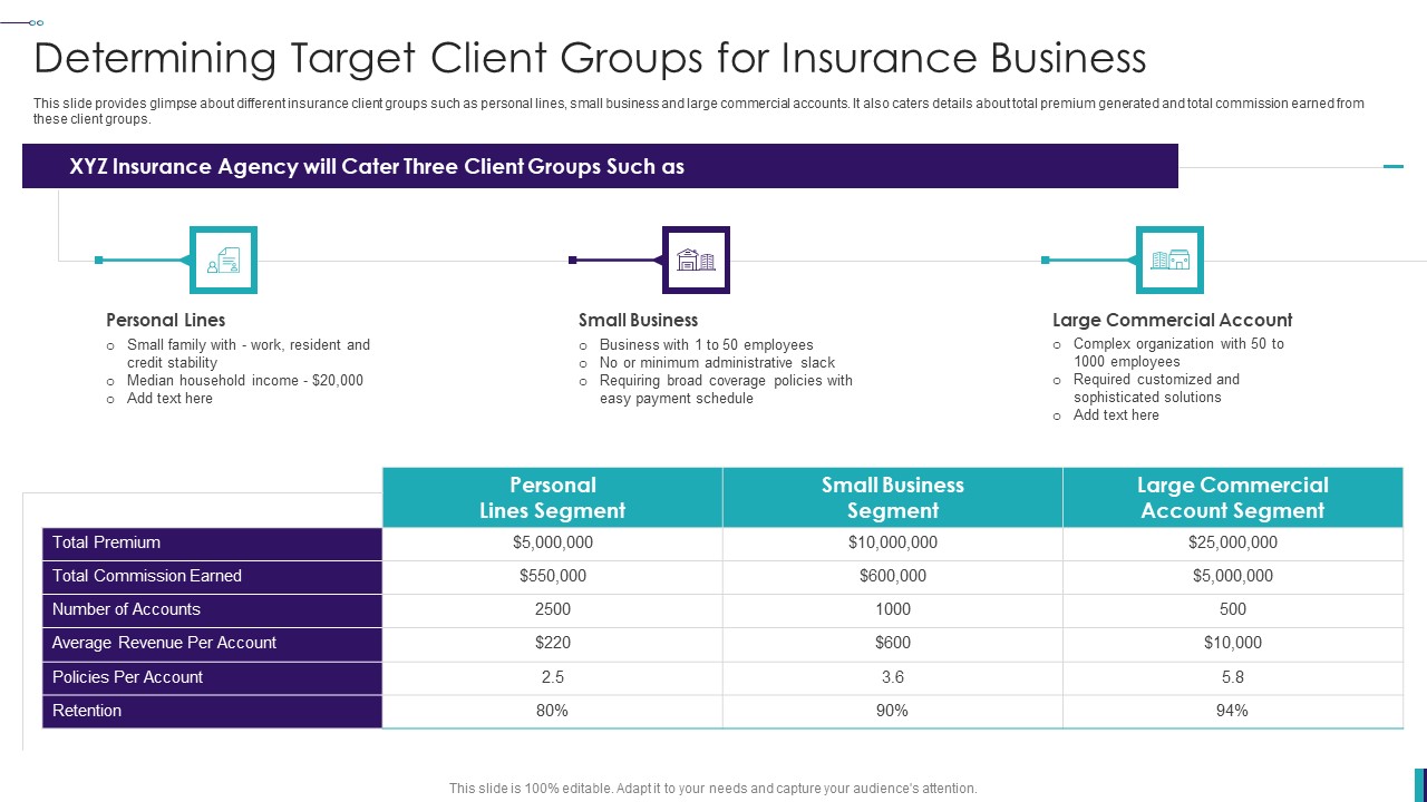 Establishing Insurance Company Determining Target Client Groups For Insurance Business Microsoft PDF