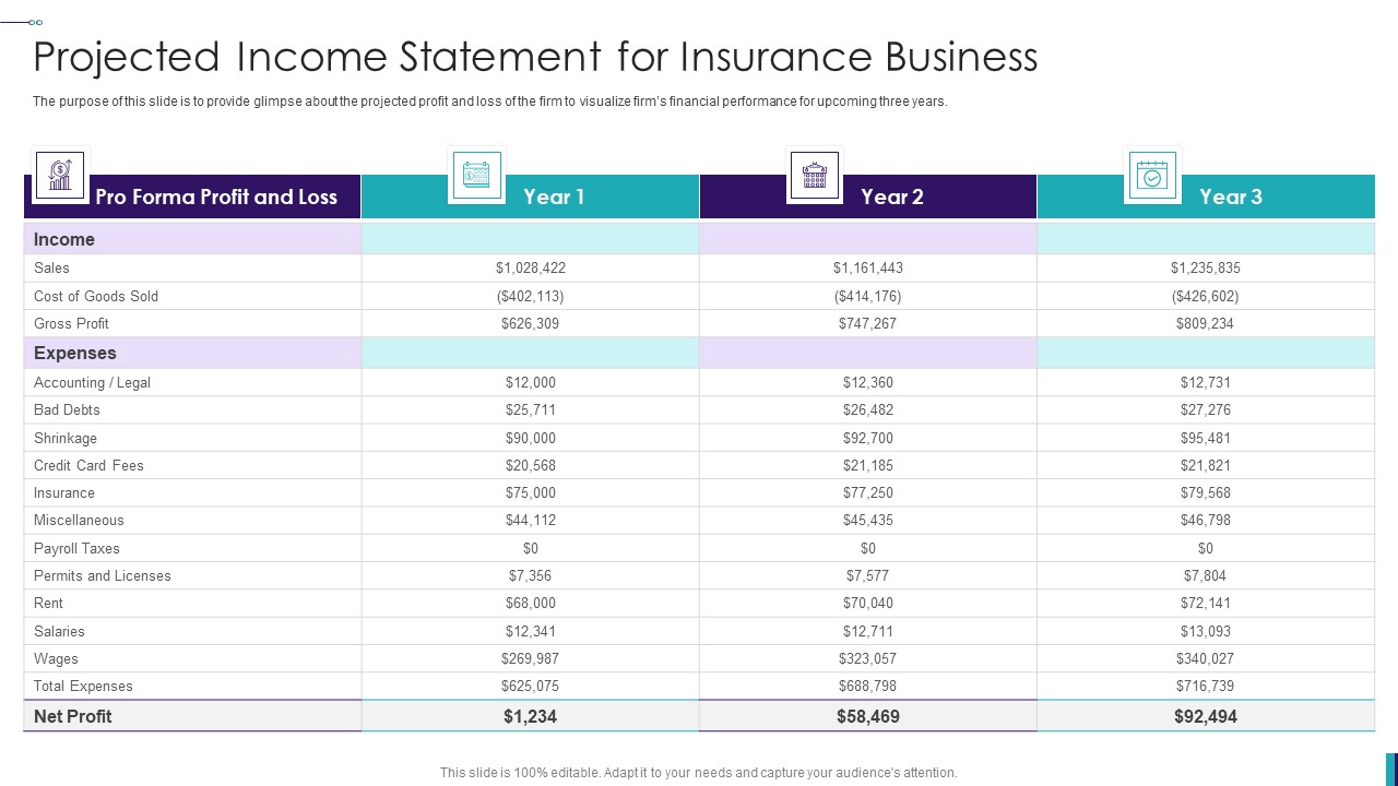 Establishing Insurance Company Projected Income Statement For Insurance Business Themes PDF