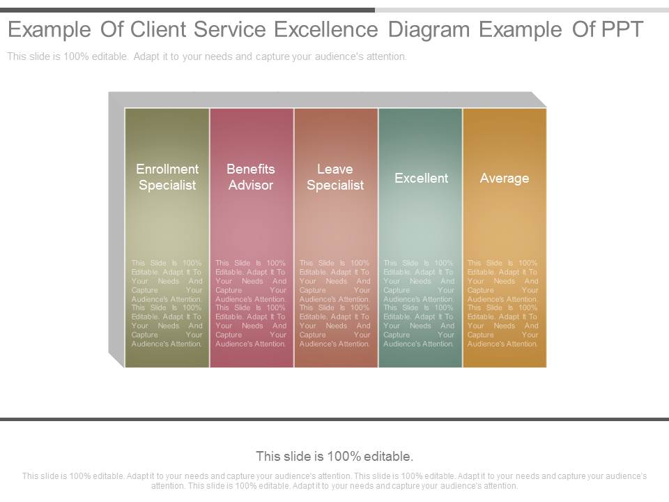 Example Of Client Service Excellence Diagram Example Of Ppt