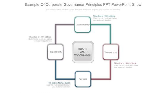 Example Of Corporate Governance Principles Ppt Powerpoint Show